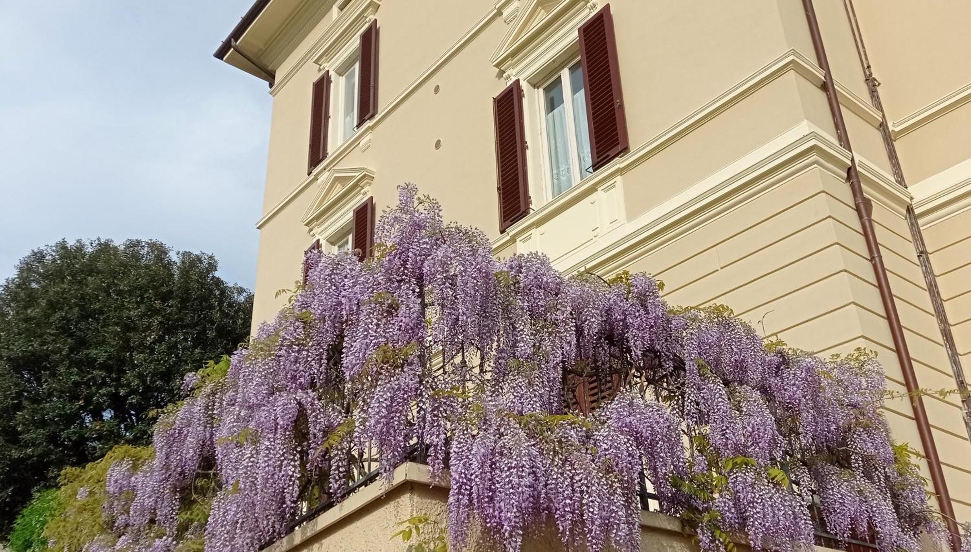 Ferienwohnung Il Pettirosso Monsummano Terme Exterior foto